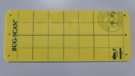 Insect Science Sticky Card Sticky card Bug-Scan - UFO Supplies