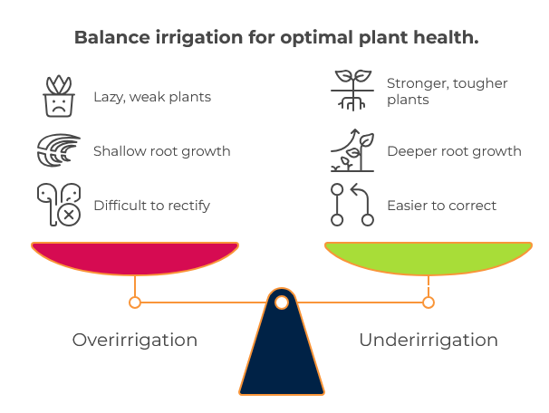 Balance irrigation for optimal plant health.