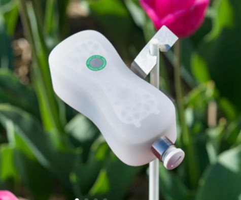 Polariks sensor